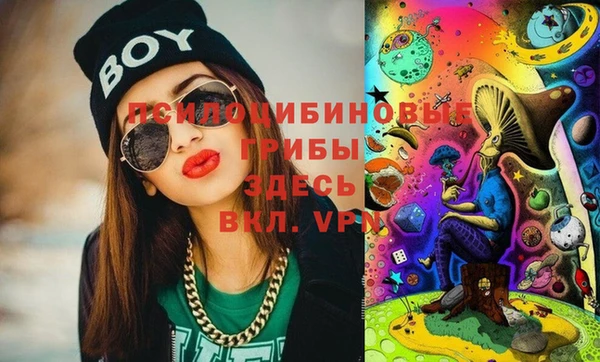 молекула духа Алексин